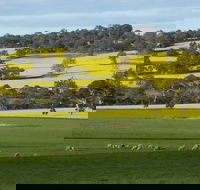 Fini Olives - Accommodation Adelaide
