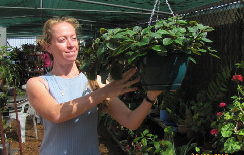 Folk Art Cooperative - Accommodation Adelaide 1