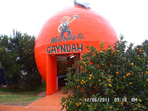 Gayndah's Big Orange - Accommodation Adelaide 2