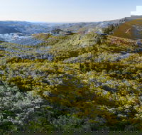 Gold Coast Hinterland Great Walk - Accommodation Adelaide