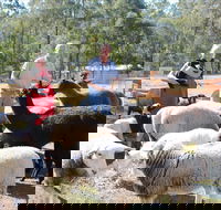 Haigslea EWE Nique Hobby Farm - Accommodation Adelaide