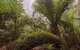 Honeysuckle Picnic Area - thumb 0