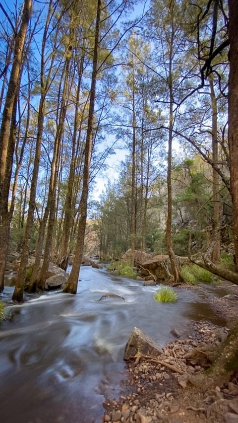 Horton Falls And Walks - Accommodation Adelaide 2