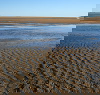 Illawong Beach - Accommodation Adelaide