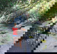 Josephine Falls walking track Wooroonooran National Park - Accommodation Adelaide