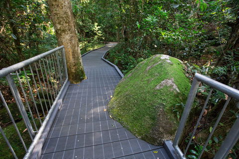 Josephine Falls Walking Track, Wooroonooran National Park - Accommodation Adelaide 2