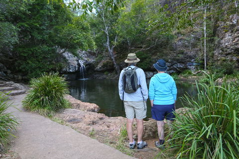 Kondalilla Falls Circuit, Kondalilla National Park - Accommodation Adelaide 1