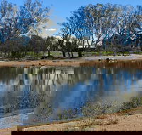 Lake King Wetlands at Rutherglen - Accommodation Adelaide