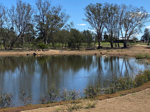 Lake King Wetlands At Rutherglen - Accommodation Adelaide 0