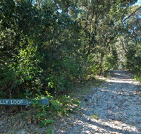 Lillypilly loop trail - Accommodation Adelaide