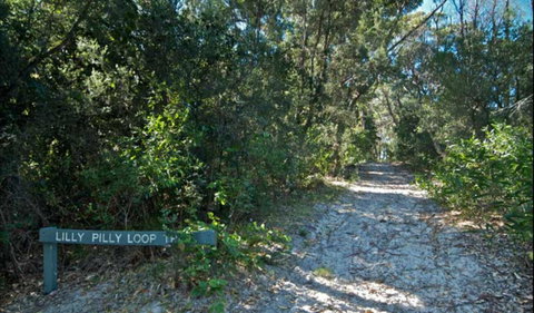 Lillypilly Loop Trail - Accommodation Adelaide 0