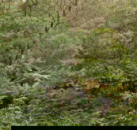 Lind National Park - Accommodation Adelaide