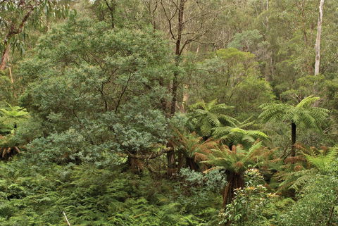 Lind National Park - Accommodation Adelaide 0