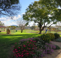 Lions Park - Accommodation Adelaide