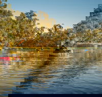 Macquarie Marshes Nature Reserve - Accommodation Adelaide