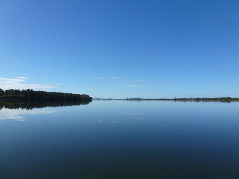 Manning River - Accommodation Adelaide 0