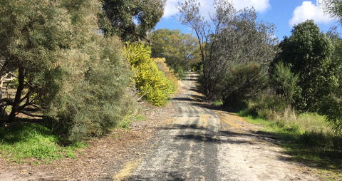 Naracoorte North Nature Park - Accommodation Adelaide 0