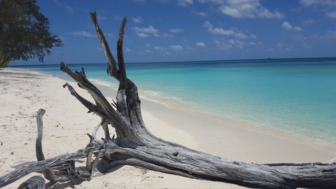 North West Island - Accommodation Adelaide 0