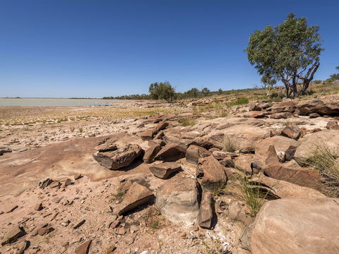 Peery Lake Picnic Area - Accommodation Adelaide 0