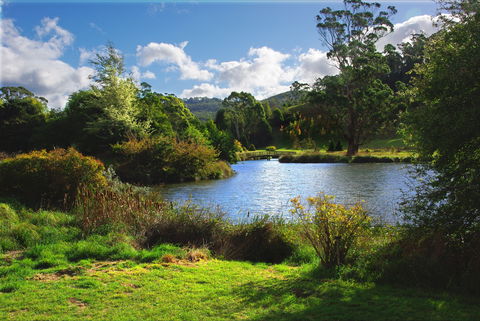 Tasmanian Arboretum Inc. - The - Accommodation Adelaide 0
