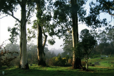 Tasmanian Arboretum Inc. - The - Accommodation Adelaide 1