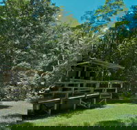 Terania Creek Picnic Area - Accommodation Adelaide