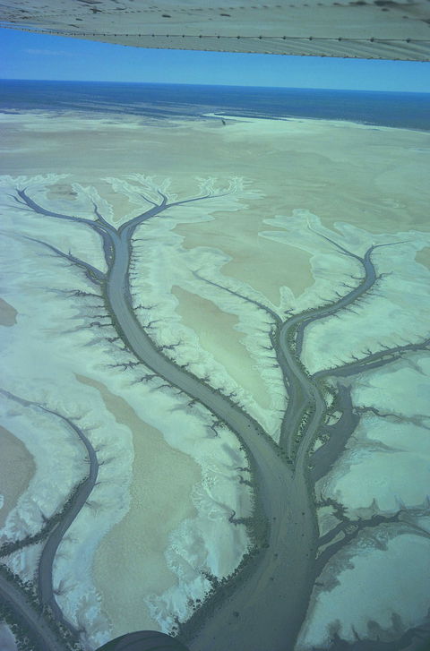Tidal Flats - Accommodation Adelaide 0