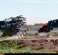 Turbo Buggy Ride - Accommodation Adelaide