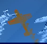 Warbird Aerial Adventures - Accommodation Adelaide