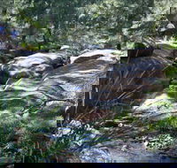 Washpools waterhole - Accommodation Adelaide
