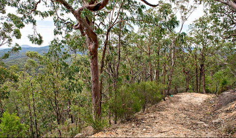 Yango Walking Track - Accommodation Adelaide 0