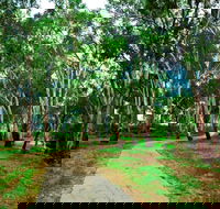 Adungadoo Pathway - Accommodation Adelaide