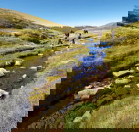 Australian Alps Walking Track - Accommodation Adelaide