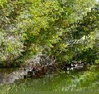 Berry Springs Nature Park - Accommodation Adelaide