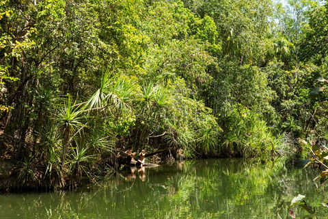 Berry Springs Nature Park - Accommodation Adelaide 0