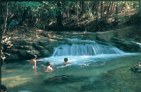 Berry Springs Nature Park - Accommodation Adelaide 2
