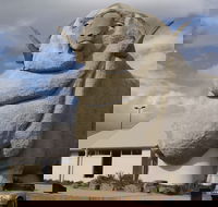 Big Merino - Accommodation Adelaide