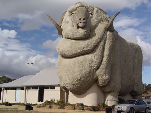 Big Merino - Accommodation Adelaide 0