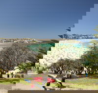 Bondi to Coogee Coastal Walk - Accommodation Adelaide