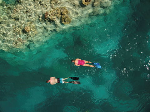 Capricornia Cays National Park - Accommodation Adelaide 1