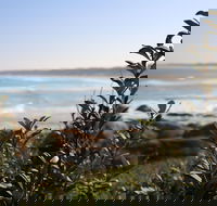 Cape Conran Coastal Park - Accommodation Adelaide