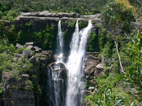 Carrington Falls - Accommodation Adelaide 0