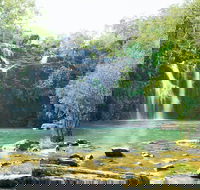 Cedar Creek Falls - Accommodation Adelaide