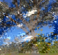 Euroa Arboretum - Accommodation Adelaide