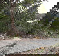 Great North Walk  Ku-ring-gai Chase National Park - Accommodation Adelaide