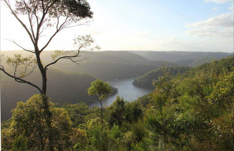 Great North Walk - Berowra Valley National Park - Accommodation Adelaide 0