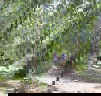 Hay Free Push Bikes - Accommodation Adelaide