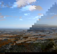 Heaton State Forest - Watagan Mountains - Accommodation Adelaide