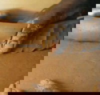 Hermannsburg Potters - Accommodation Adelaide