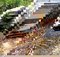 Honey Tasmania - The Beehive - Accommodation Adelaide